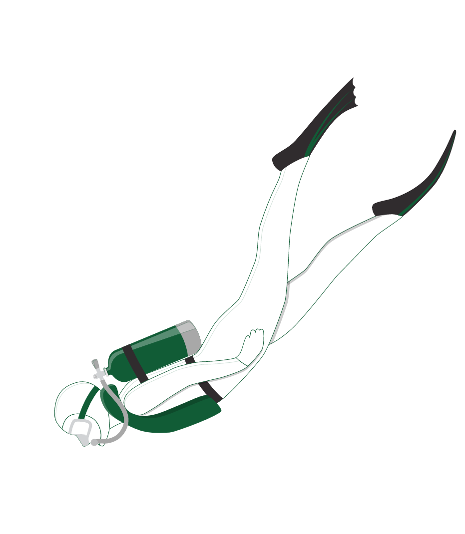 Diver